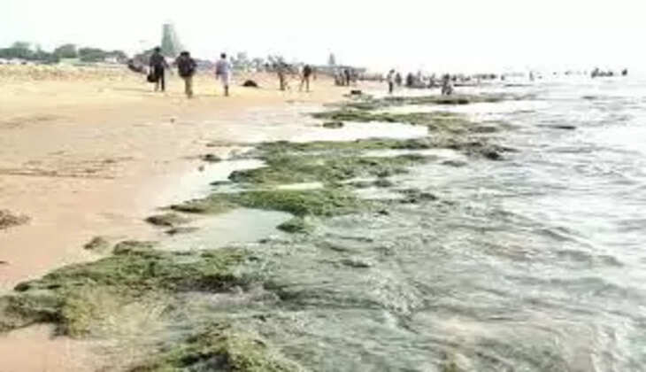 திருச்செந்தூர்