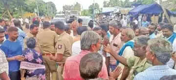 நெற்பயிர்கள்