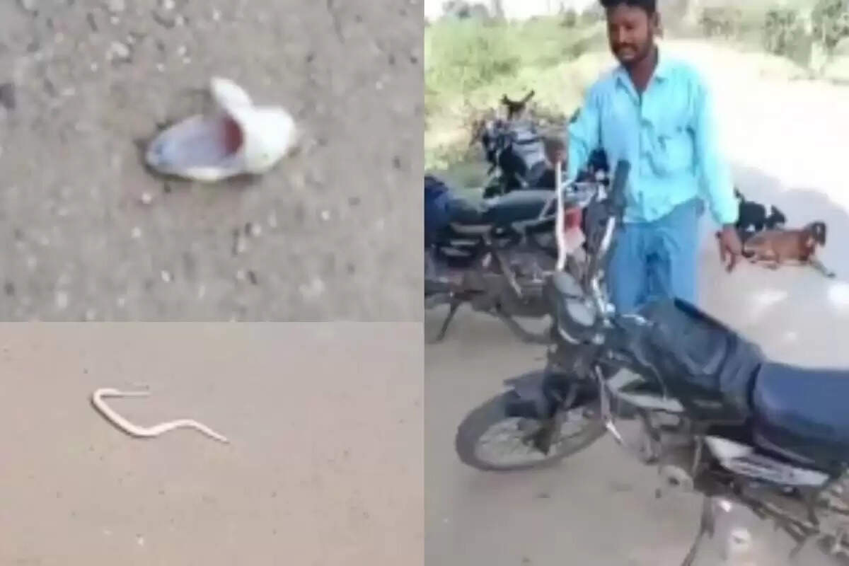 போலீசார் 