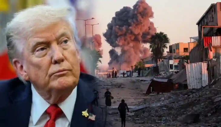 ட்ரம்ப்