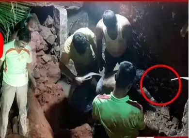 செப்டிக்