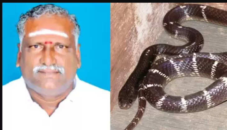 திருவள்ளூர்