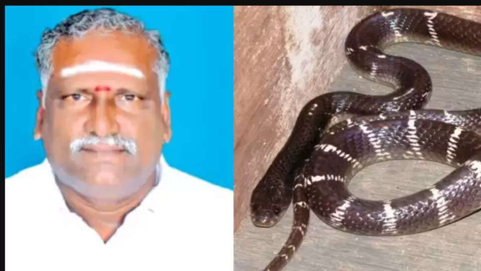 திருவள்ளூர்