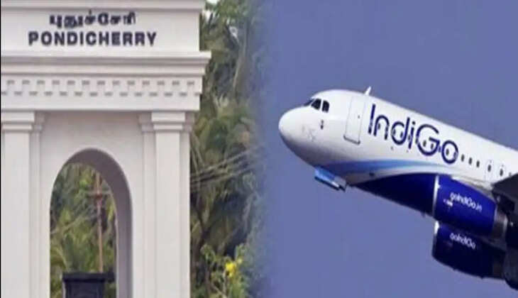 இண்டிகோ