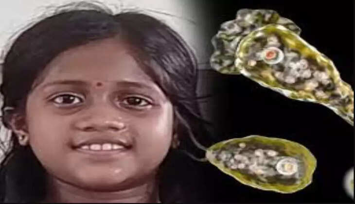 மூளையை தின்னும் அமீபா