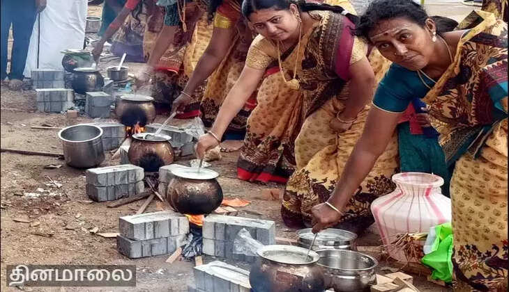 பொங்கல்