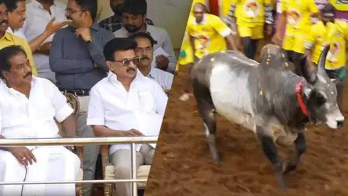 அலங்காநல்லூர் ஜல்லிக்கட்டு