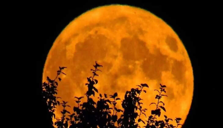 அறுவடை நிலா