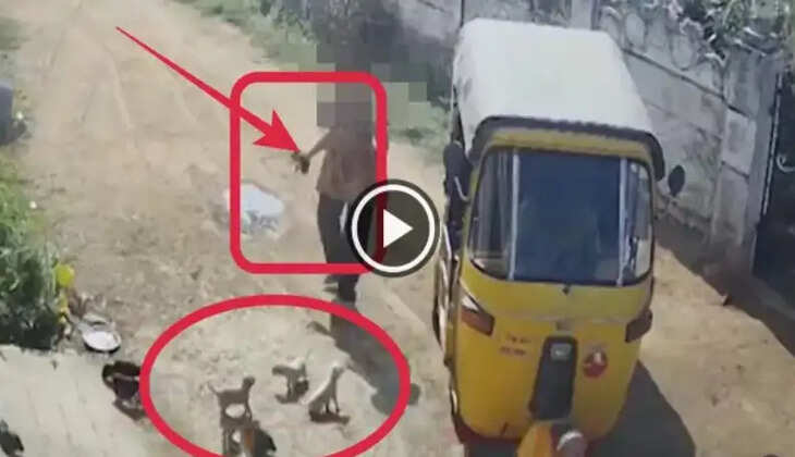 நாய்க்குட்டி