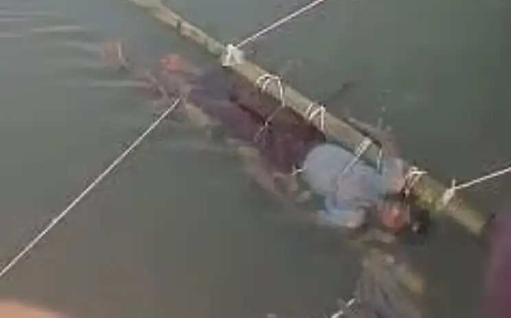 பாம்பு கடி கங்கை