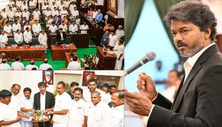சட்டசபை விஜய் 