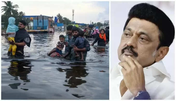 TN Alert, ஸ்டாலின்