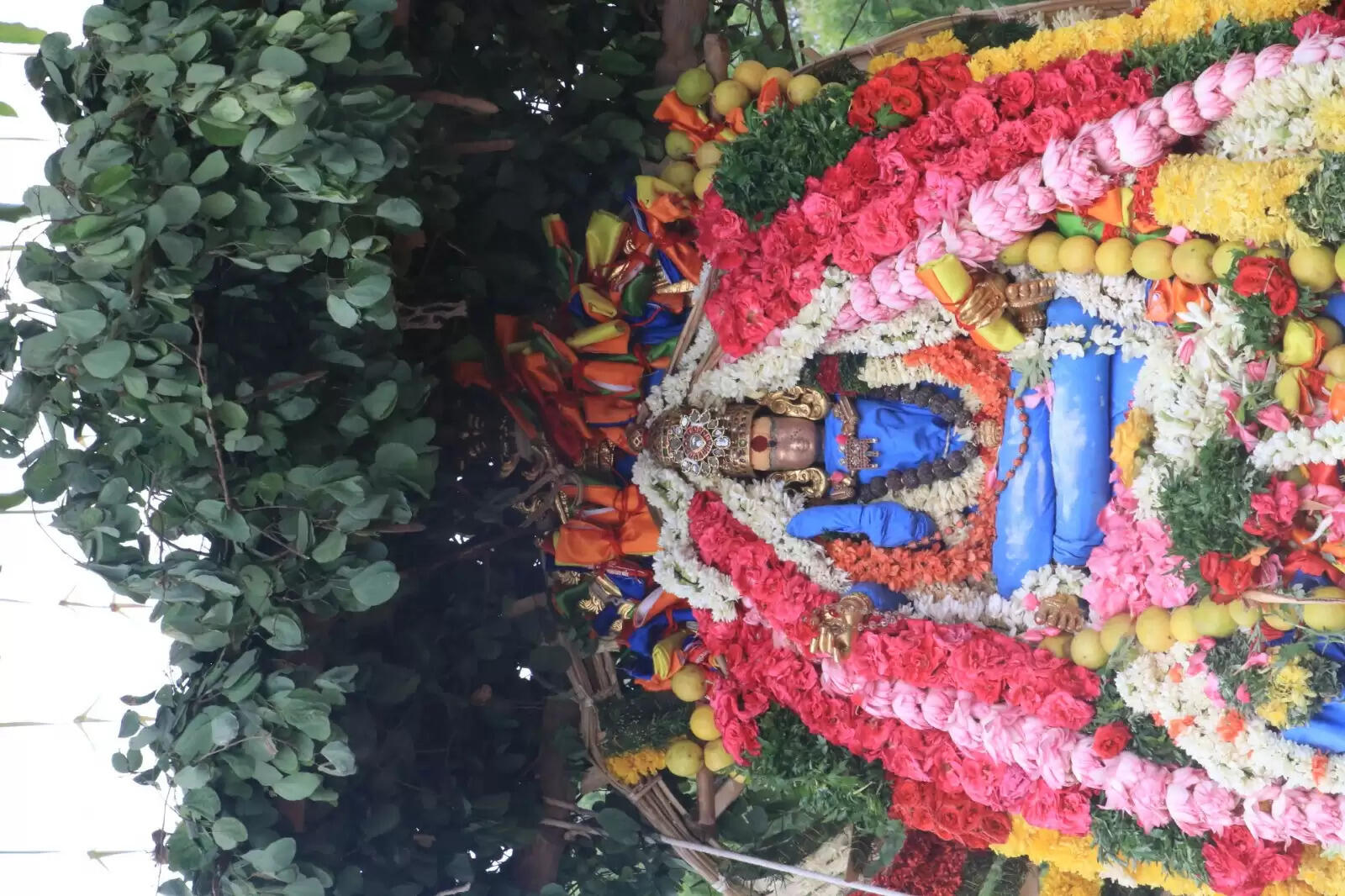 ஆடித்தபசு