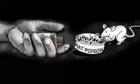 எலி பேஸ்ட்