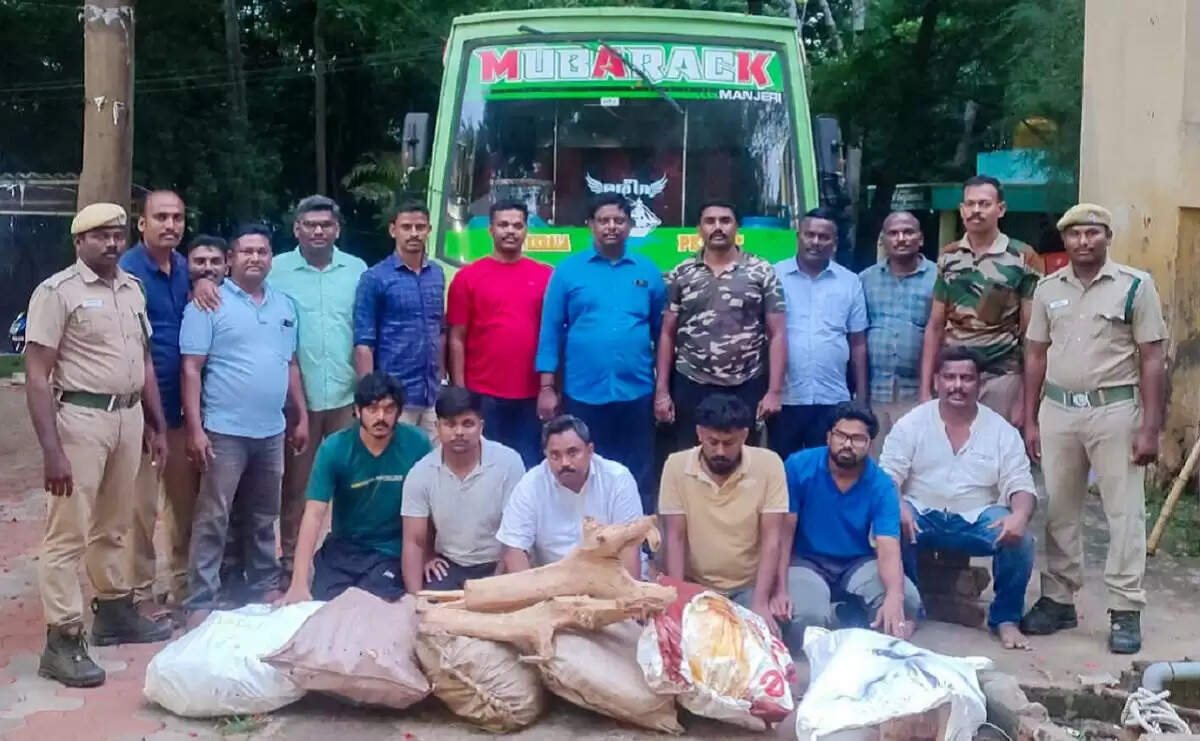 சந்தன மரக்கடத்தல்