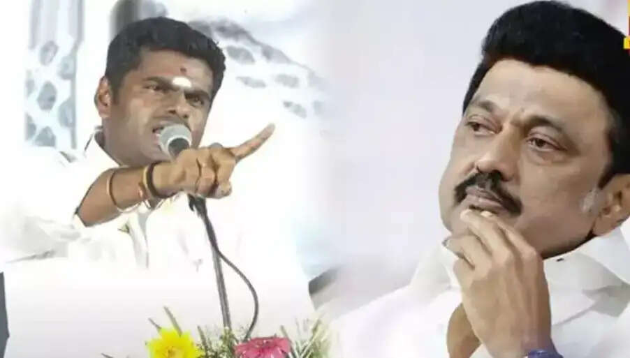 அண்ணாமலை ஸ்டாலின்