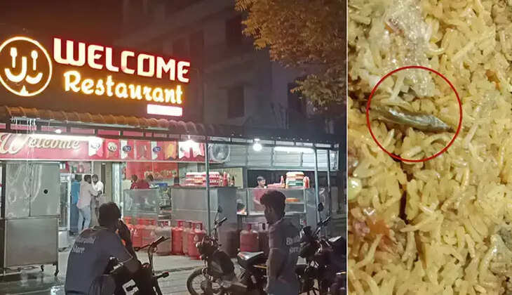 பிரியாணியில் வெட்டுக்கிளி