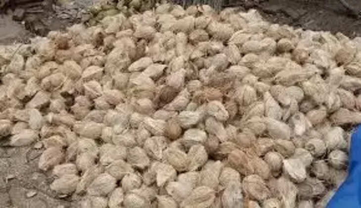 தேங்காய்