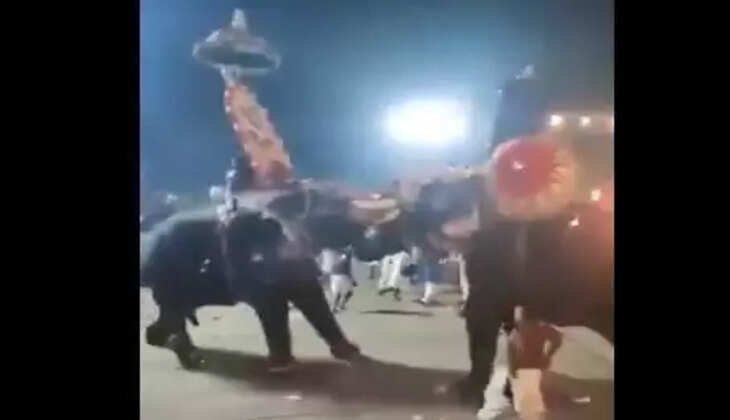 யானைகள் 