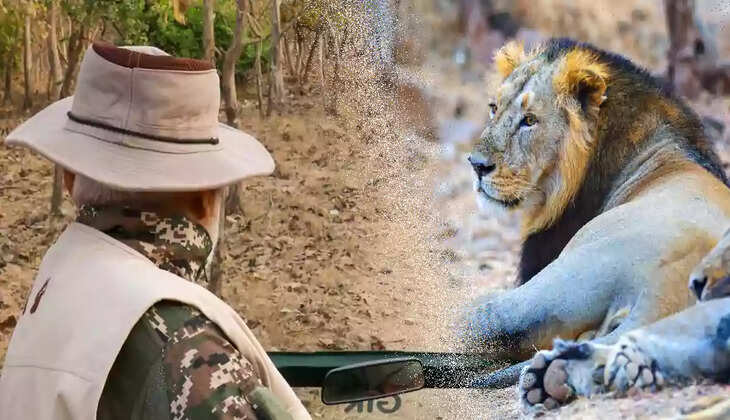 சிங்கம் மோடி