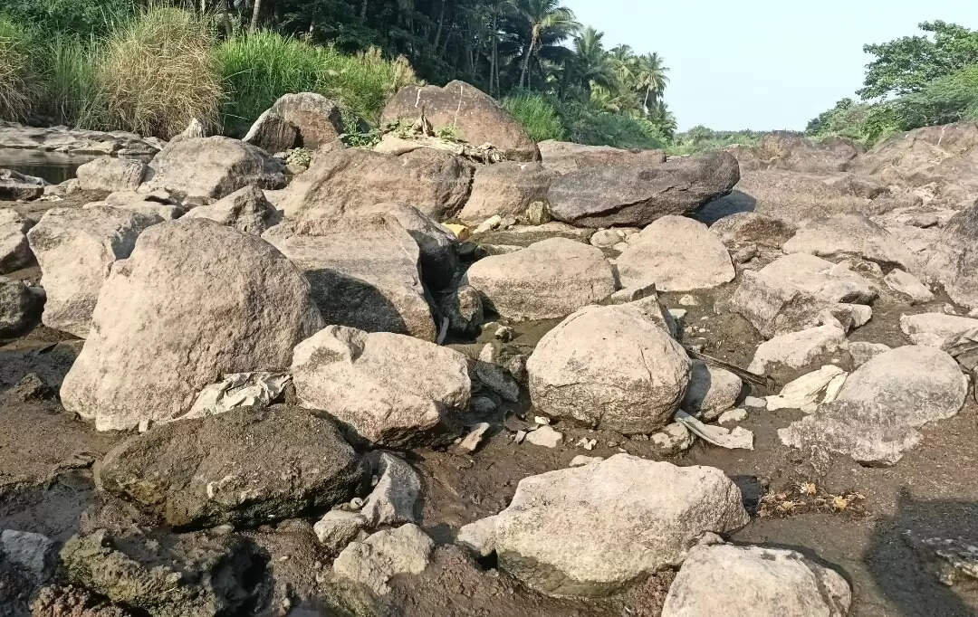 கோடையில் குடிநீர் தட்டுப்பாடு... நீர்வரத்து இல்லாததால் வைகை அணையின் நீர்மட்டம் வேகமாக குறைகிறது!