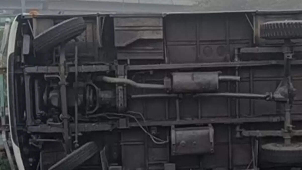 பேருந்து