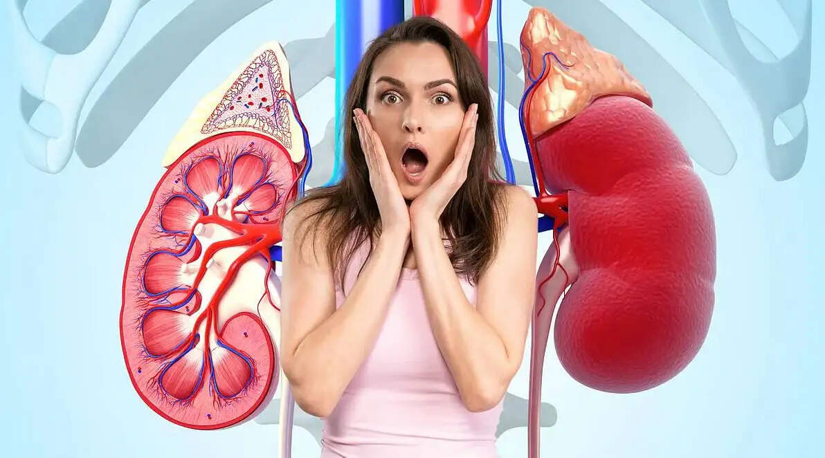 சிறுநீரகம்