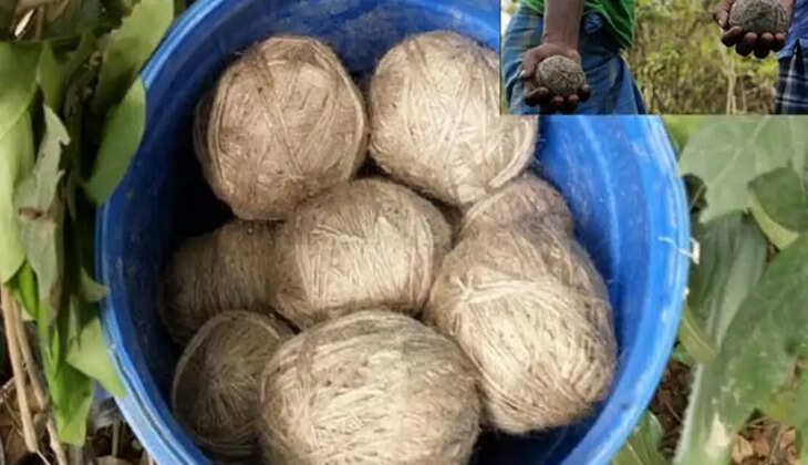 நாட்டு வெடிகுண்டு