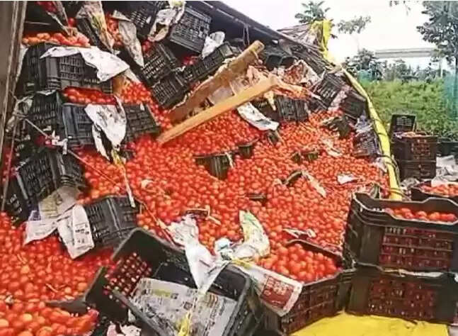 சாலையில் கவிழ்ந்த தக்காளி