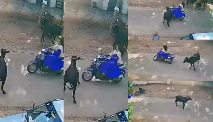 திருநெல்வேலி