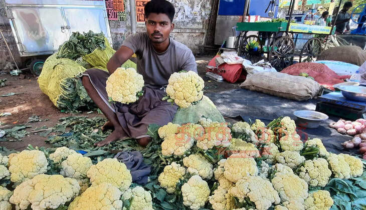 காலிபிளவர்