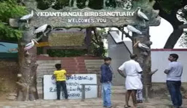 வேடந்தாங்கல்