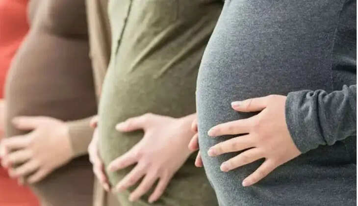 கர்ப்பிணி கர்ப்பிணிகள்