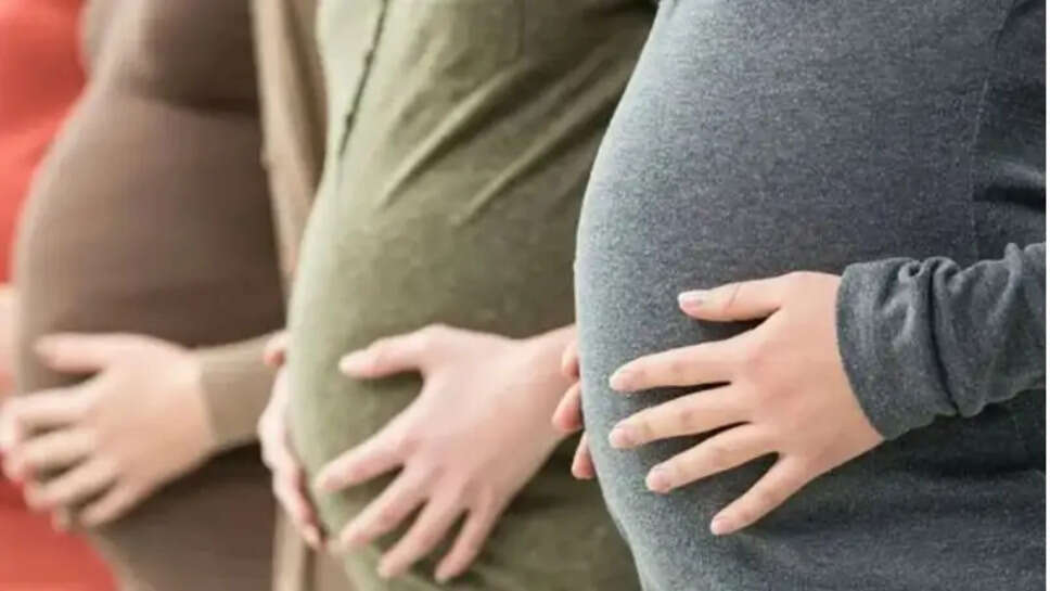 கர்ப்பிணி கர்ப்பிணிகள்