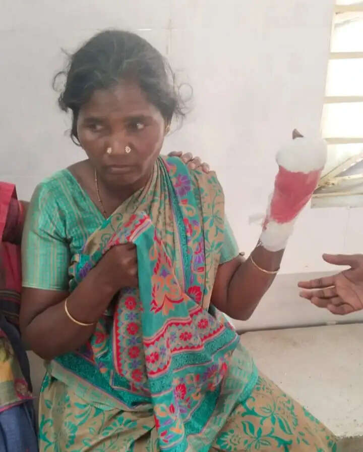 கத்திக்குத்து