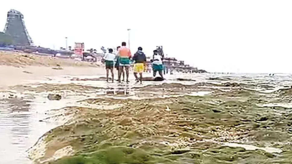 திருச்செந்தூர்