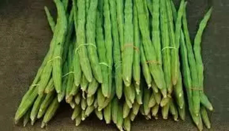 முருங்கைக்காய்