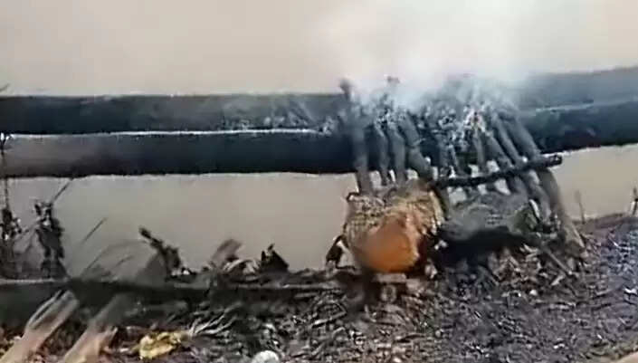 நிலக்கரி சுரங்கம்