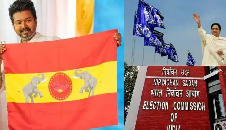  தமிழக வெற்றிக் கழகம் 