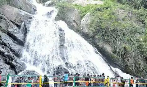 குரங்கு அருவி