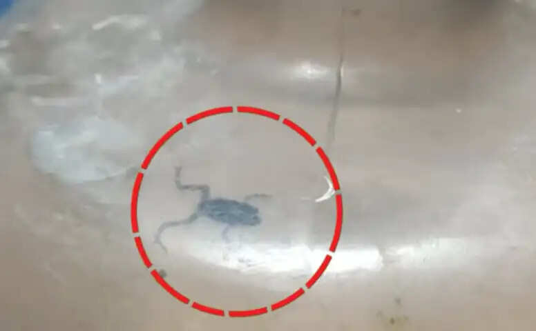 குடிநீர்