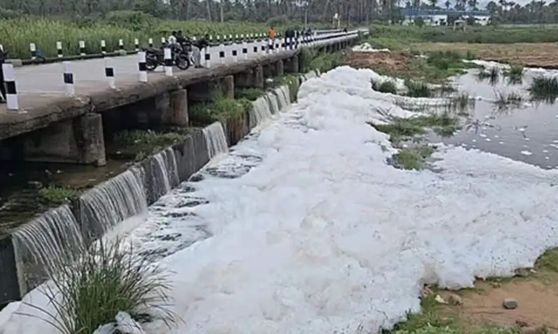 ஆம்பூர் பாலாறு ரசாயன நுரை