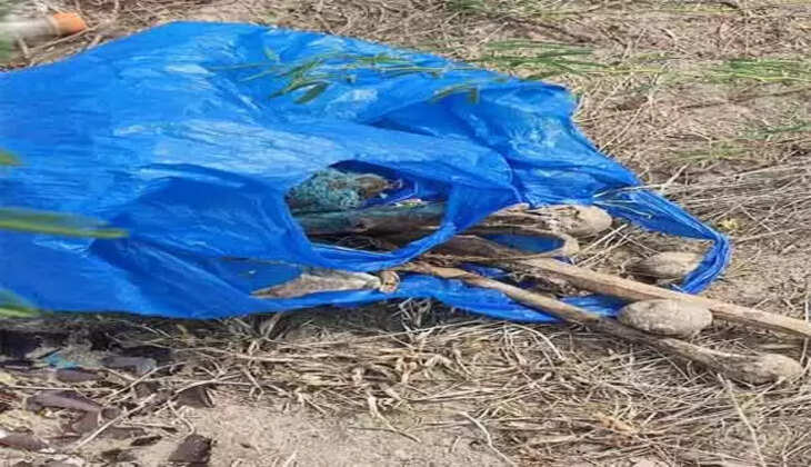 மண்டை ஓடு