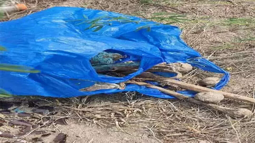 மண்டை ஓடு