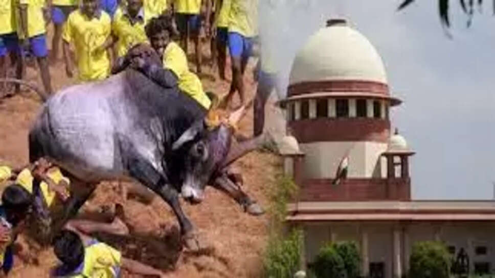 ஜல்லிக்கட்டு உச்சநீதிமன்றம்