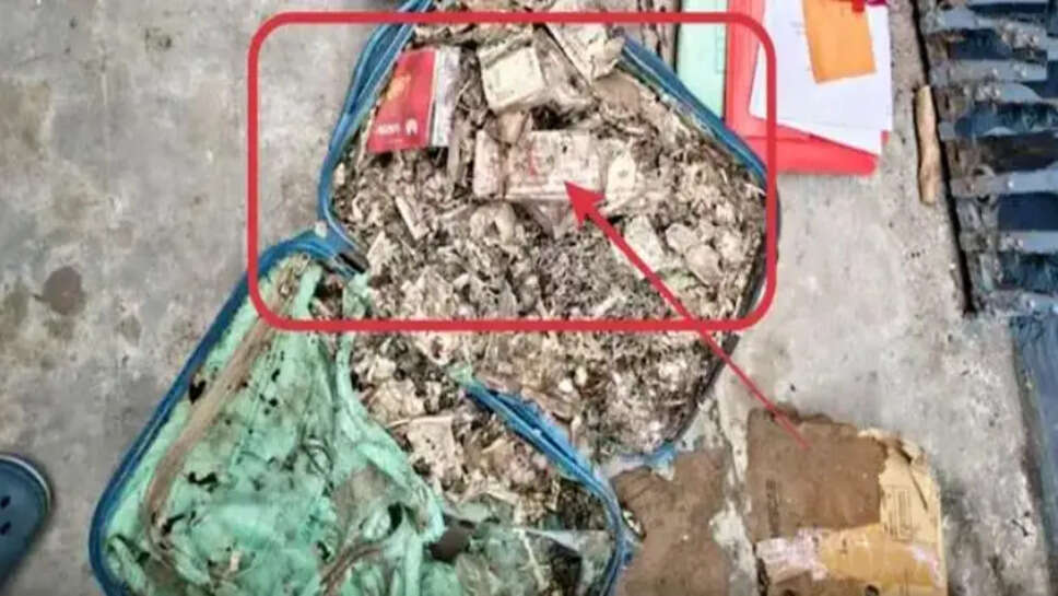 கரையான் பணம்