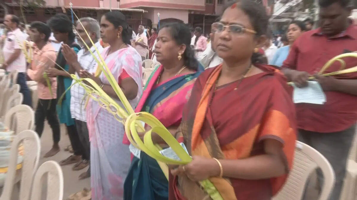 குருத்தோலை 