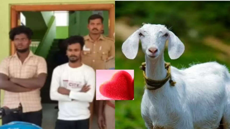 காதலர் தினம்