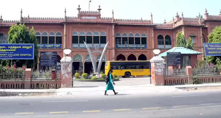 கால்நடை மருத்துவ கல்லூரி சென்னை