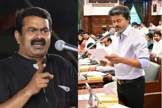 சீமான்விஜய் விஜய்சீமான்